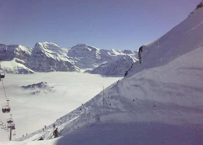 Les Rhodos 3 Daire Les Crosets