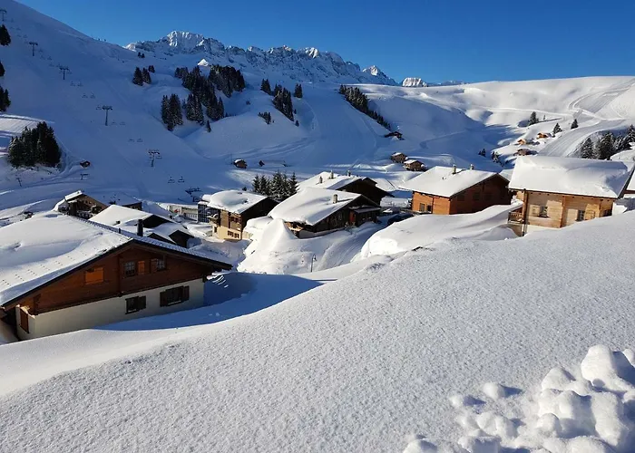 Les Rhodos 3 * Les Crosets