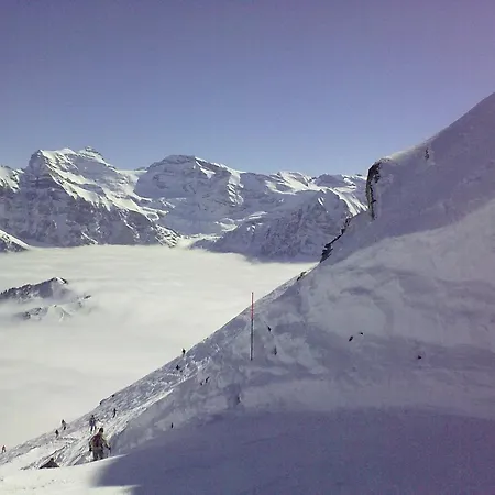 Les Rhodos 3 Daire Les Crosets